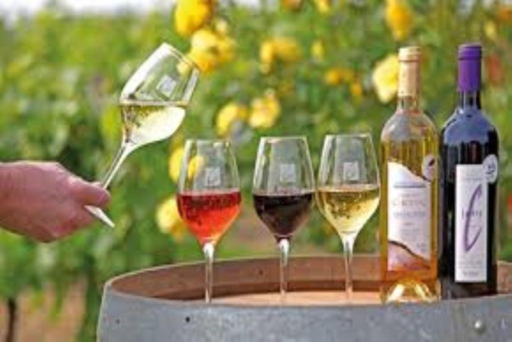 Le Mas De Doat, Gite De Charme 4 Etoiles Dans Le Triangle D Or Proche Gaillac Et Albi Senouillac Zewnętrze zdjęcie