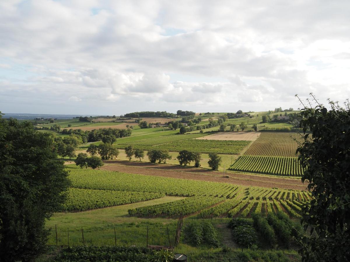Le Mas De Doat, Gite De Charme 4 Etoiles Dans Le Triangle D Or Proche Gaillac Et Albi Senouillac Zewnętrze zdjęcie